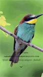 Mobile Screenshot of littlebirdpublicity.com